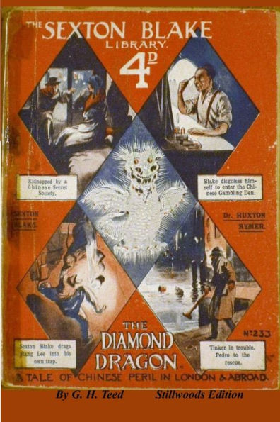 The Diamond Dragon - 9781998819157