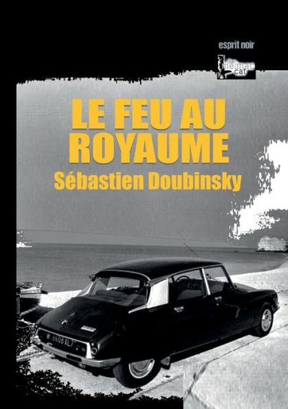 Le Feu Au Royaume (French Edition)