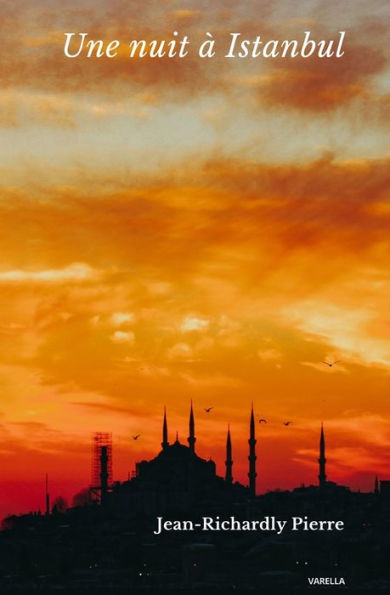Une Nuit À Istanbul (French Edition)