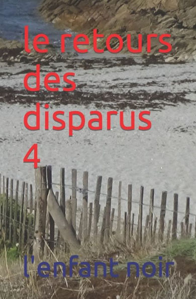 Le Retours Des Disparus 4 (Le Retours Des Disparus De La Presqu'Ils De Quiberon) (French Edition) - 9782494451841