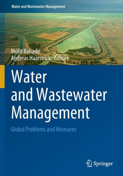 Water And Wastewater Management: Global Problems And Measures - 9783030952907
