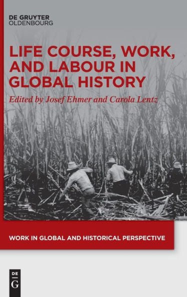Life Course, Work, And Labour In Global History (Work In Global And Historical Perspective)
