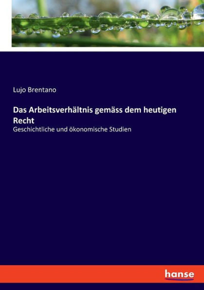 Das Arbeitsverhältnis Gemäss Dem Heutigen Recht: Geschichtliche Und Ökonomische Studien (German Edition)