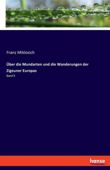 Über Die Mundarten Und Die Wanderungen Der Zigeuner Europas: Band X (German Edition)