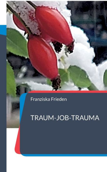 Traum-Job-Trauma: Berufsbiografie Einer Pflegefachfrau (German Edition)