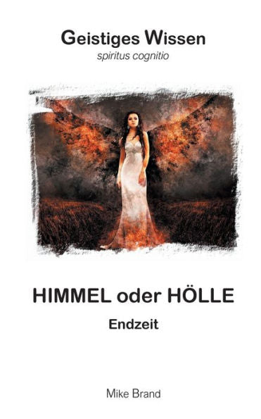 Himmel Oder Hölle: Endzeit (German Edition)