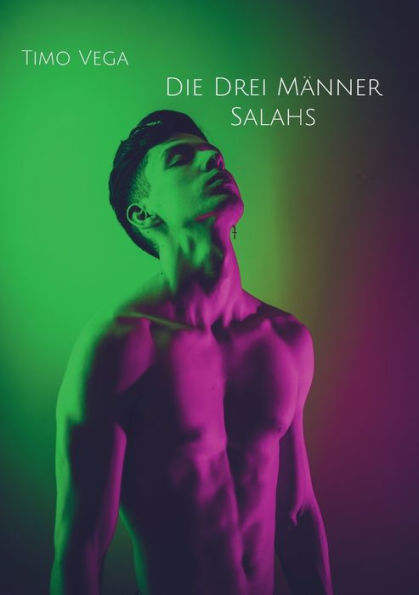 Die Drei Männer Salahs (German Edition)