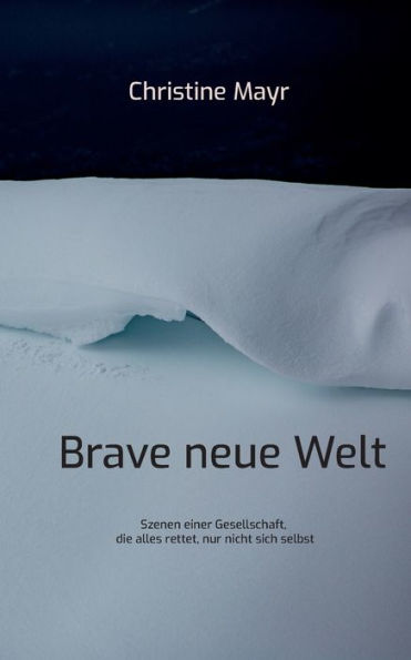 Brave Neue Welt: Szenen Einer Gesellschaft, Die Alles Rettet, Nur Nicht Sich Selbst (German Edition)