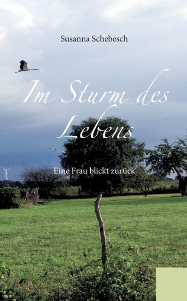 Im Sturm Des Lebens: Eine Frau Blickt Zurück (German Edition)