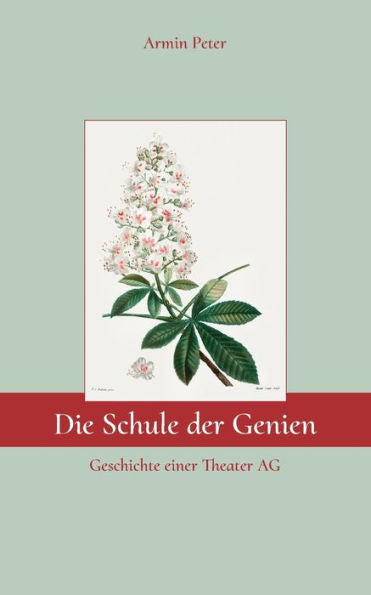 Die Schule Der Genien: Geschichte Einer Theater Ag (German Edition)