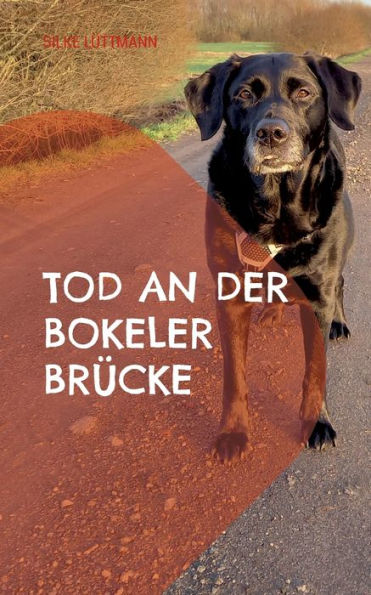 Tod An Der Bokeler Brücke: Labrador Siley Ermittelt (German Edition)