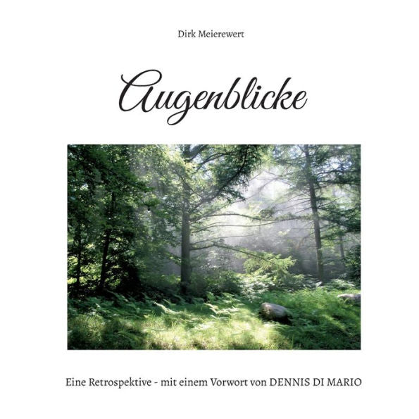 Augenblicke: Eine Retrospektive (German Edition)