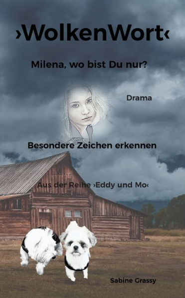 Wolkenwort: Besondere Zeichen Erkennen (German Edition)