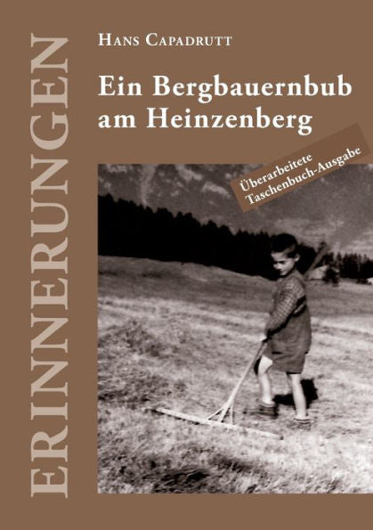Erinnerungen: Ein Bergbauernbub Am Heinzenberg (German Edition)