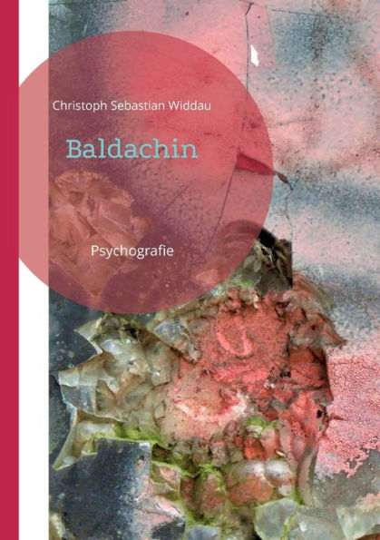 Baldachin: Psychografie (German Edition)