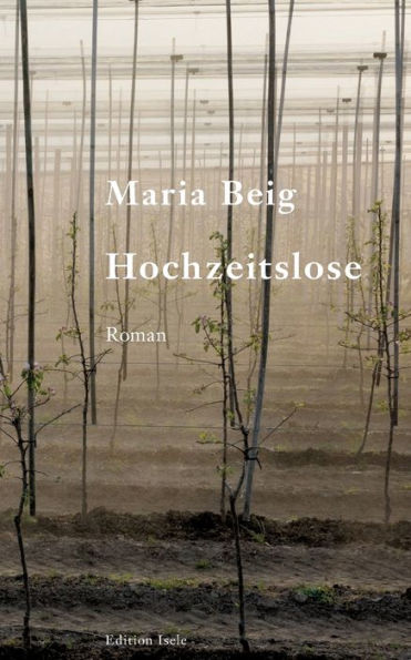 Hochzeitslose (German Edition)