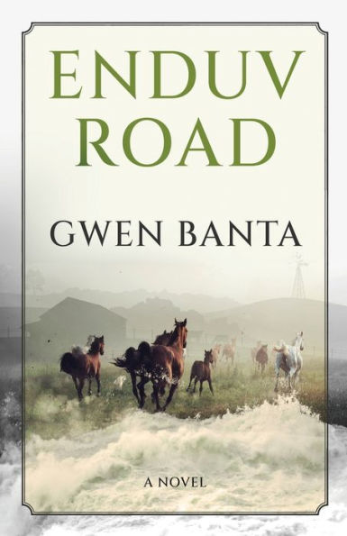 Enduv Road - 9784824174918