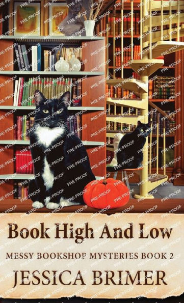 Book High And Low (Messy Bookshop Mysteries) - 9784824182340