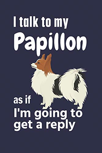 I talk to my Papillon as if I'm going to get a reply: For Papillon Puppy Fans