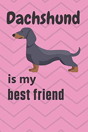 Dachshund is my best friend: For Dachshund Dog Fans