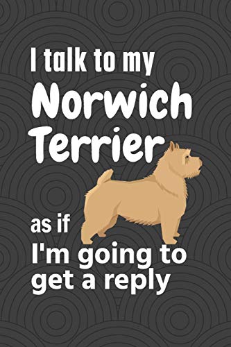 I talk to my Norwich Terrier as if I'm going to get a reply: For Norwich Terrier Puppy Fans