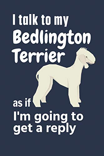 I talk to my Bedlington Terrier as if I'm going to get a reply: For Bedlington Terrier Puppy Fans