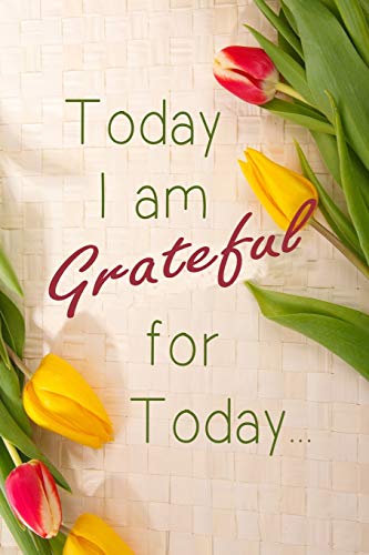 Today I am Grateful For Today: Cultivate An Attitude Of being grateful everyday