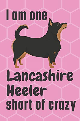 I am one Lancashire Heeler short of crazy: For Lancashire Heeler Dog Fans