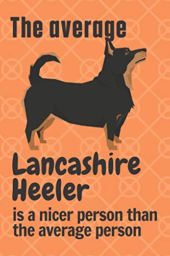 The average Lancashire Heeler is a nicer person than the average person: For Lancashire Heeler Dog Fans