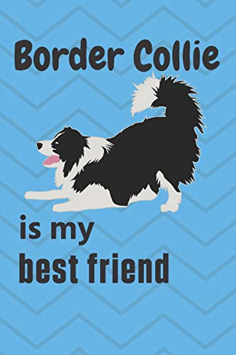 Border Collie is my best friend: For Border Collie Dog Fans