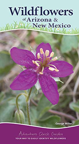 Wildflowers of Arizona and New Mexico: Your Way to Easily Identify Wildflowers (Adventure Quick Guides)