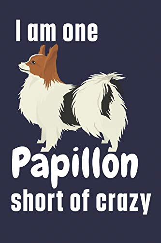 I am one Papillon short of crazy: For Papillon Dog Fans