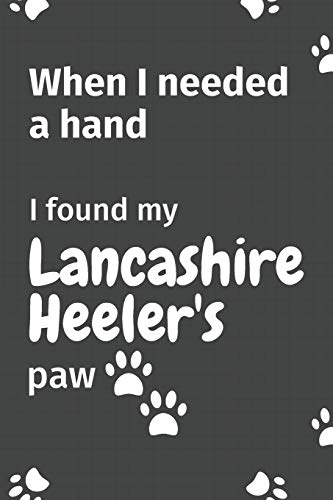 When I needed a hand, I found my Lancashire Heeler's paw: For Lancashire Heeler Puppy Fans