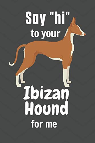 Say hi to your Ibizan Hound for me: For Ibizan Hound Dog Fans