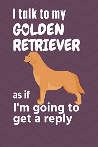 I talk to my Golden Retriever as if I'm going to get a reply: For Golden Retriever Puppy Fans