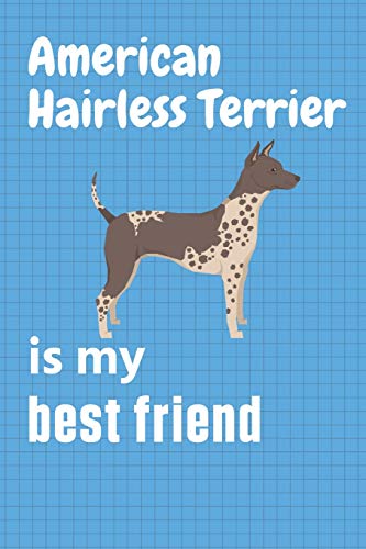 American Hairless Terrier is my best friend: For American Hairless Terrier Dog Fans