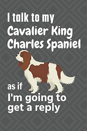 I talk to my Cavalier King Charles Spaniel as if I'm going to get a reply: For Cavalier King Charles Spaniel Puppy Fans