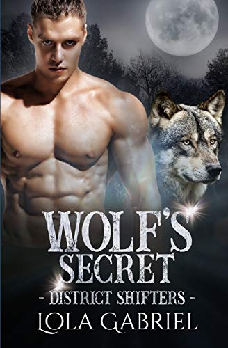 Wolf's Secret (District Shifters)