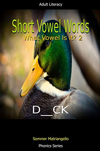 Short Vowel Words: What Vowel Is It? 2