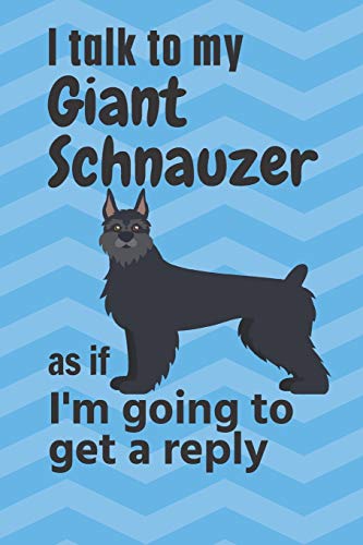 I talk to my Giant Schnauzer as if I'm going to get a reply: For Giant Schnauzer Puppy Fans