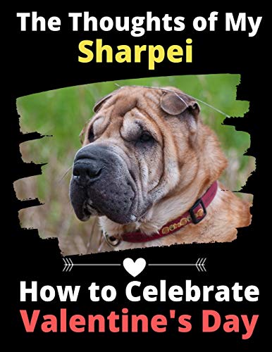 The Thoughts of My Sharpei: How to Celebrate Valentine's Day
