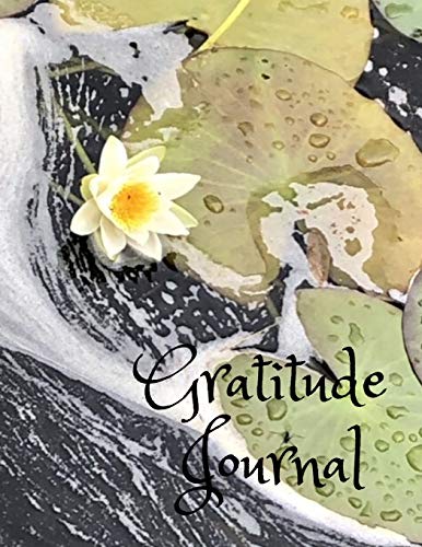 Gratitude: Gratefulness