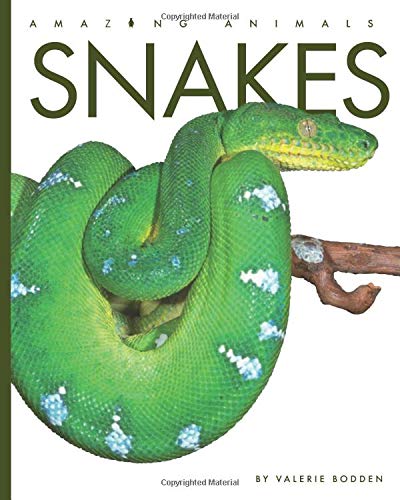Snakes (Amazing Animals)