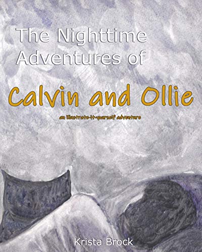 The Nighttime Adventures of Calvin and Ollie: an illustrate-it-yourself adventure