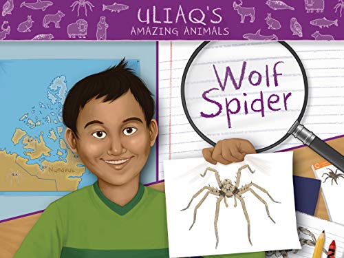 Uliaq's Amazing Animals: Wolf Spider (English) (Nunavummi)