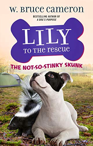 Lily to the Rescue: The Not-So-Stinky Skunk (Lily to the Rescue! (3))