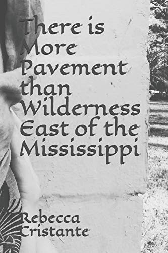 There is More Pavement than Wilderness East of the Mississippi