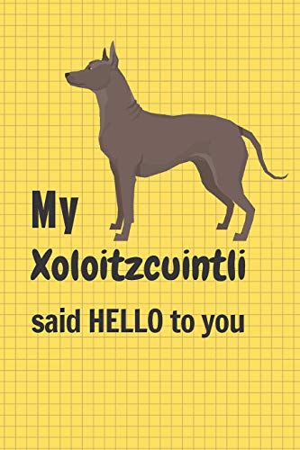 My Xoloitzcuintli said HELLO to you: For Xoloitzcuintli Dog Fans
