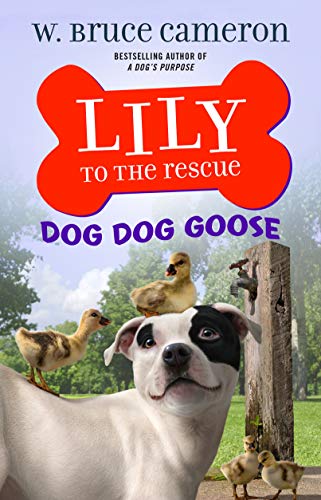 Lily to the Rescue: Dog Dog Goose (Lily to the Rescue! (4))