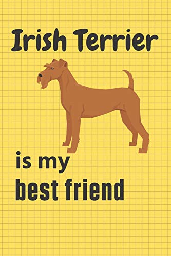 Irish Terrier is my best friend: For Irish Terrier Dog Fans